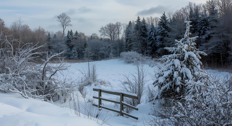 冬の雪道、ワイパーを立てるときの注意点
