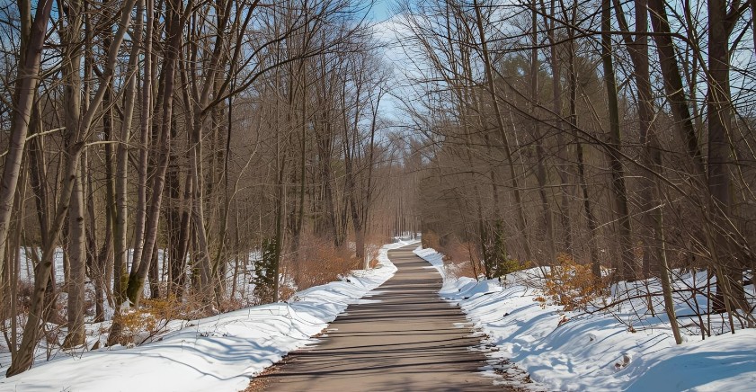 冬の雪道、ワイパーを立てる前にチェックしておきたいこと